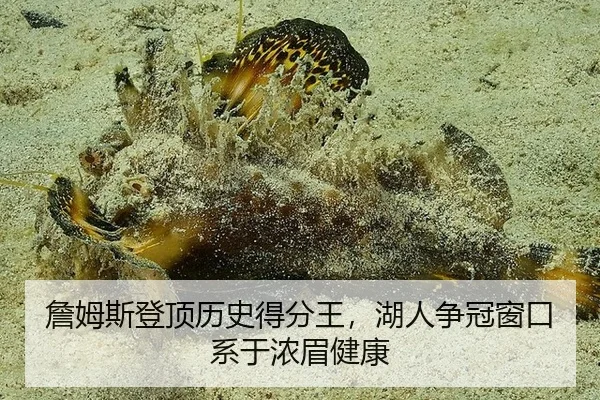 詹姆斯登顶历史得分王，湖人争冠窗口系于浓眉健康