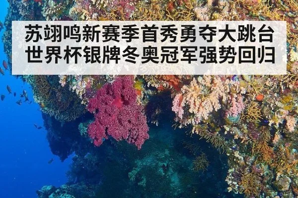 苏翊鸣新赛季首秀勇夺大跳台世界杯银牌冬奥冠军强势回归