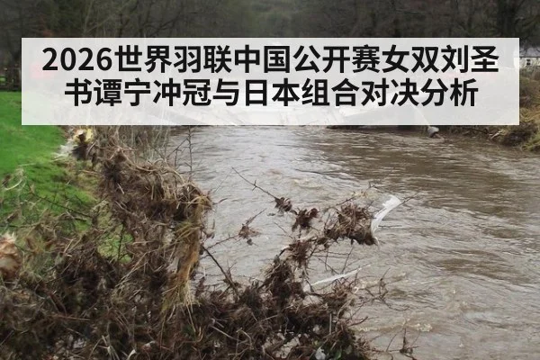 2026世界羽联中国公开赛女双刘圣书谭宁冲冠与日本组合对决分析